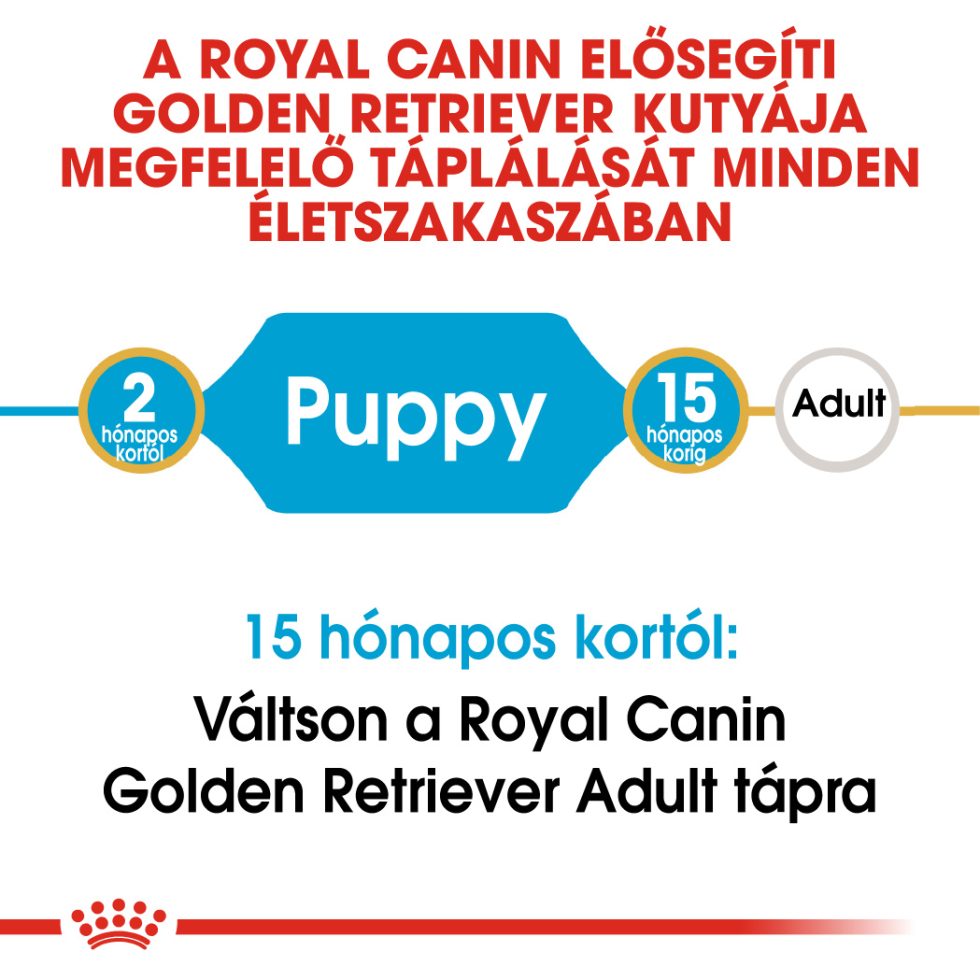 royal-canin-golden-retriever-